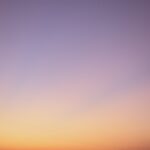 pexels-alexander-kovalev-2847648